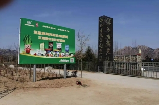 山東潔晶集團(tuán)總裁、市人大代表林成彬建言日照茶產(chǎn)業(yè)提質(zhì)增效